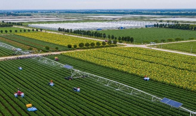 Agricultural Optimization