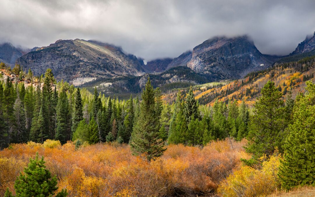 Replicate & Enhance U.S. National Park Service Map Using ArcGIS Pro