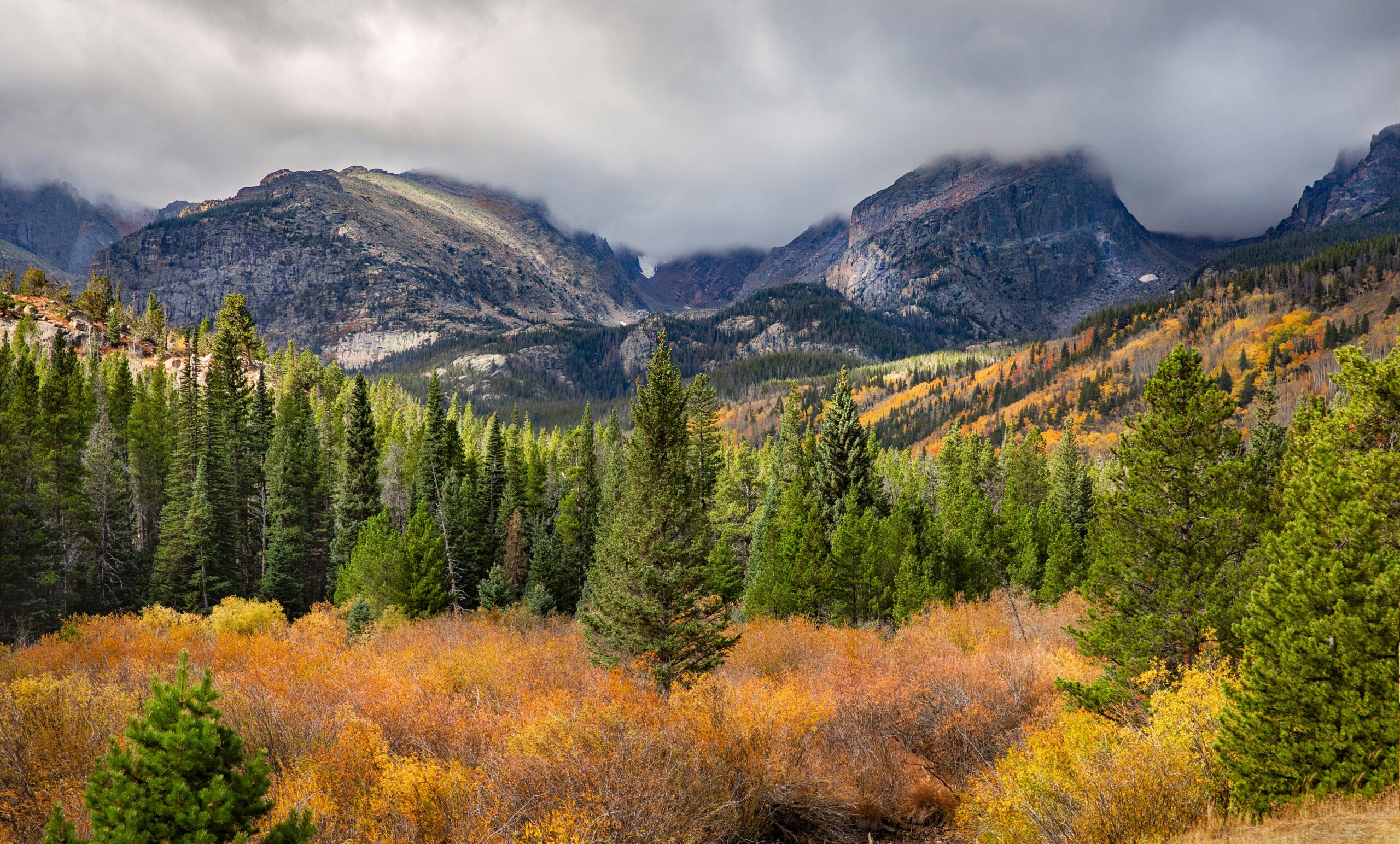 Replicate & Enhance U.S. National Park Service Map Using ArcGIS Pro